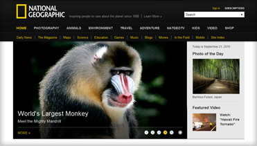 谁有内部价的DDOS测试